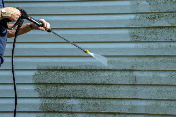 Professional Pressure Washing in Louisville, MS